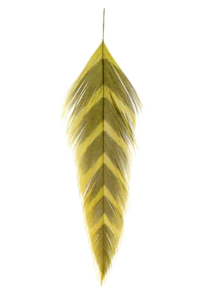 Galloup's Fish Feathers - Arrowhead