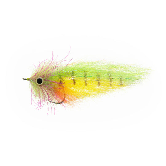 EP Amazon Special 4/0
