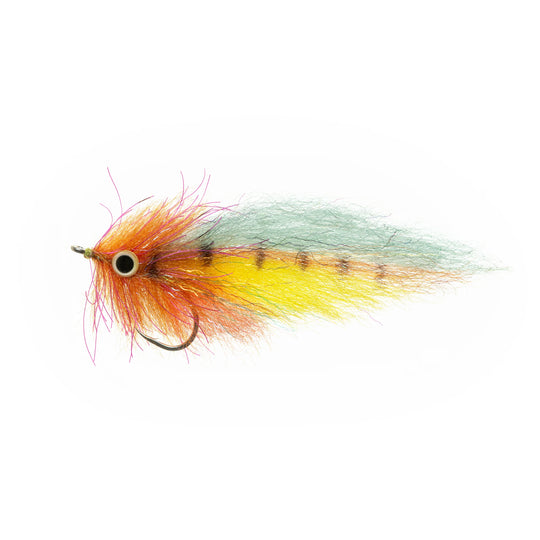 EP Amazon Special 4/0