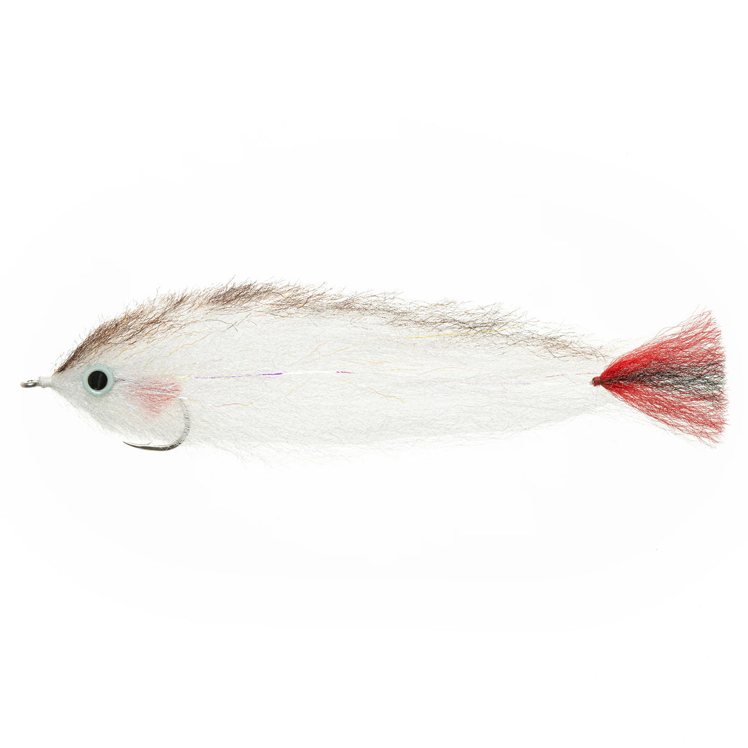 EP Amazon Red Tail 4/0