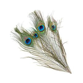 Wapsi Peacock Eyes - Natural