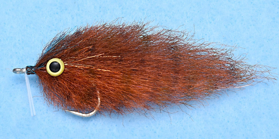 EP Mangrove Minnow