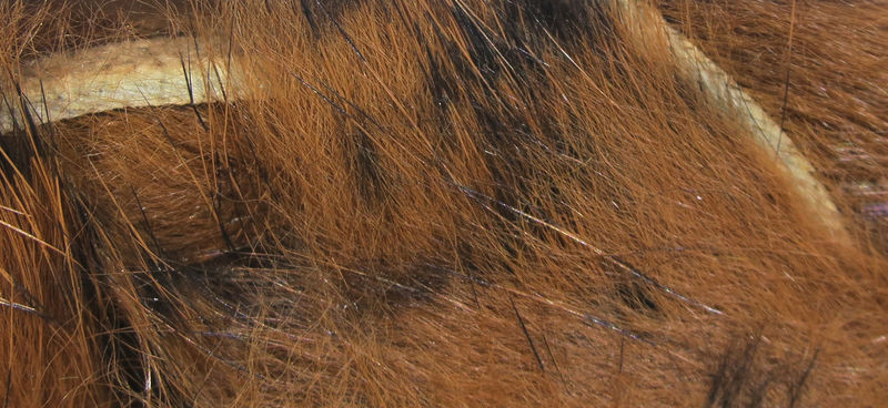 Micro Pulsator Strips