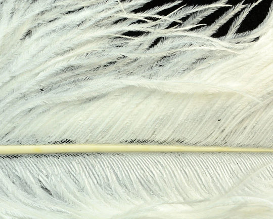 Natures Spirit Jumbo Ostrich Half Plume
