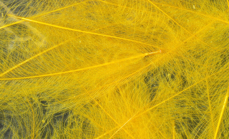 Hareline Cul De Canard