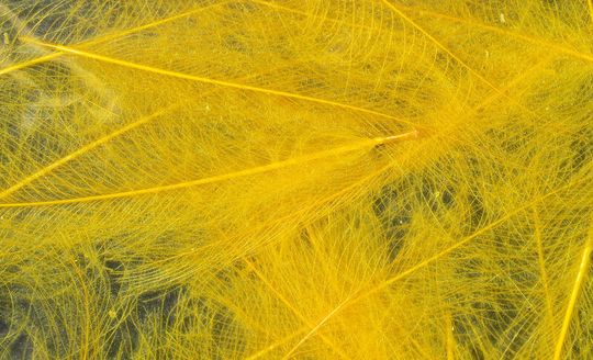 Hareline Cul De Canard