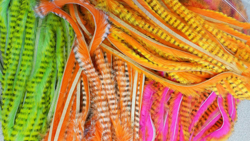 Tiger Magnum Strips  Black/Orange over yellow