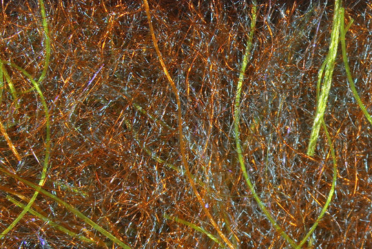 Hareline Cohen's Carp Dub