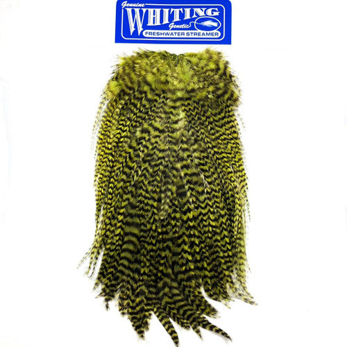 Whiting Freshwater Streamer Saddle
