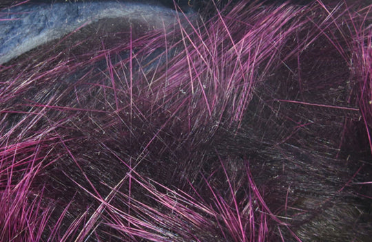 Frost Tip Strips  Black Fuchsia Frosttip