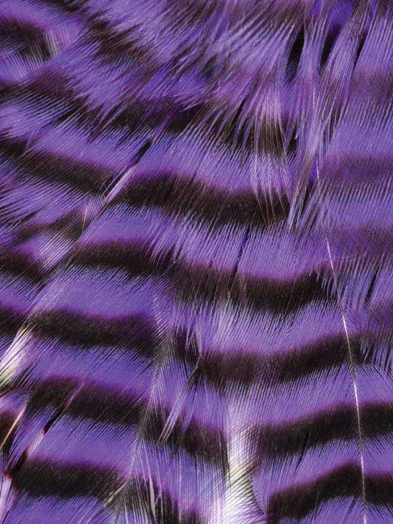 Metz Hackle Predator Pack