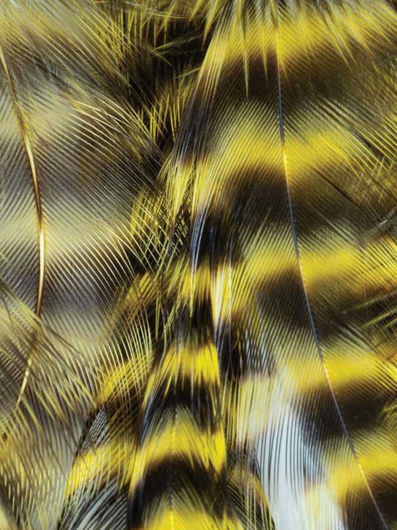Metz Hackle Predator Pack