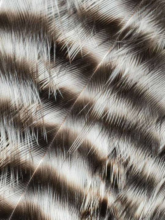 Metz Hackle Predator Pack