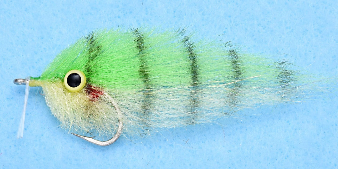 EP Mangrove Minnow