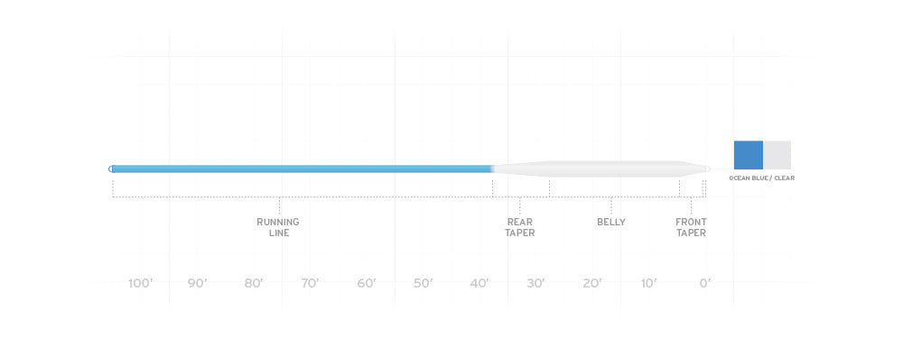 Sonar Saltwater Intermediate
