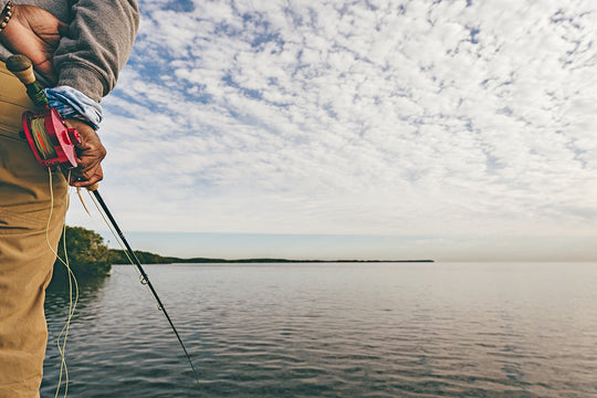 Winston Boron III Plus Fly Rod