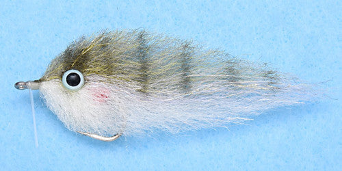 EP Pinfish