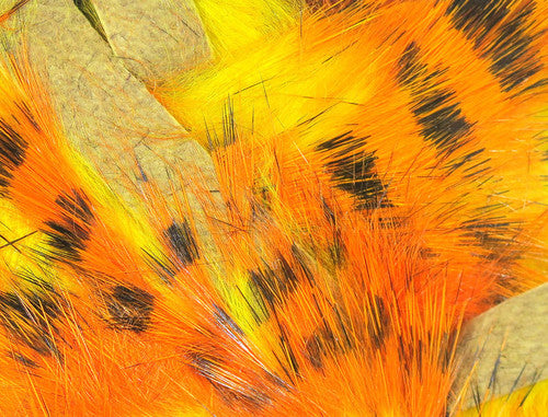 Tiger Magnum Strips  Black/Orange over yellow