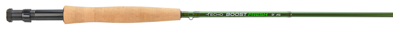 Echo Boost