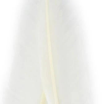 Nature's Spirit Goose Quills