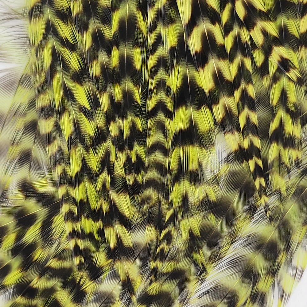 Metz Hackle Tarpon / Crab Pack