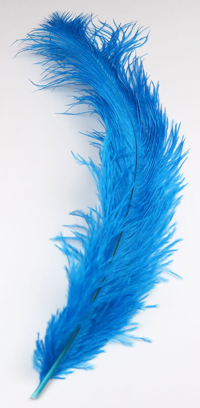 UV2 Ostrich Plume