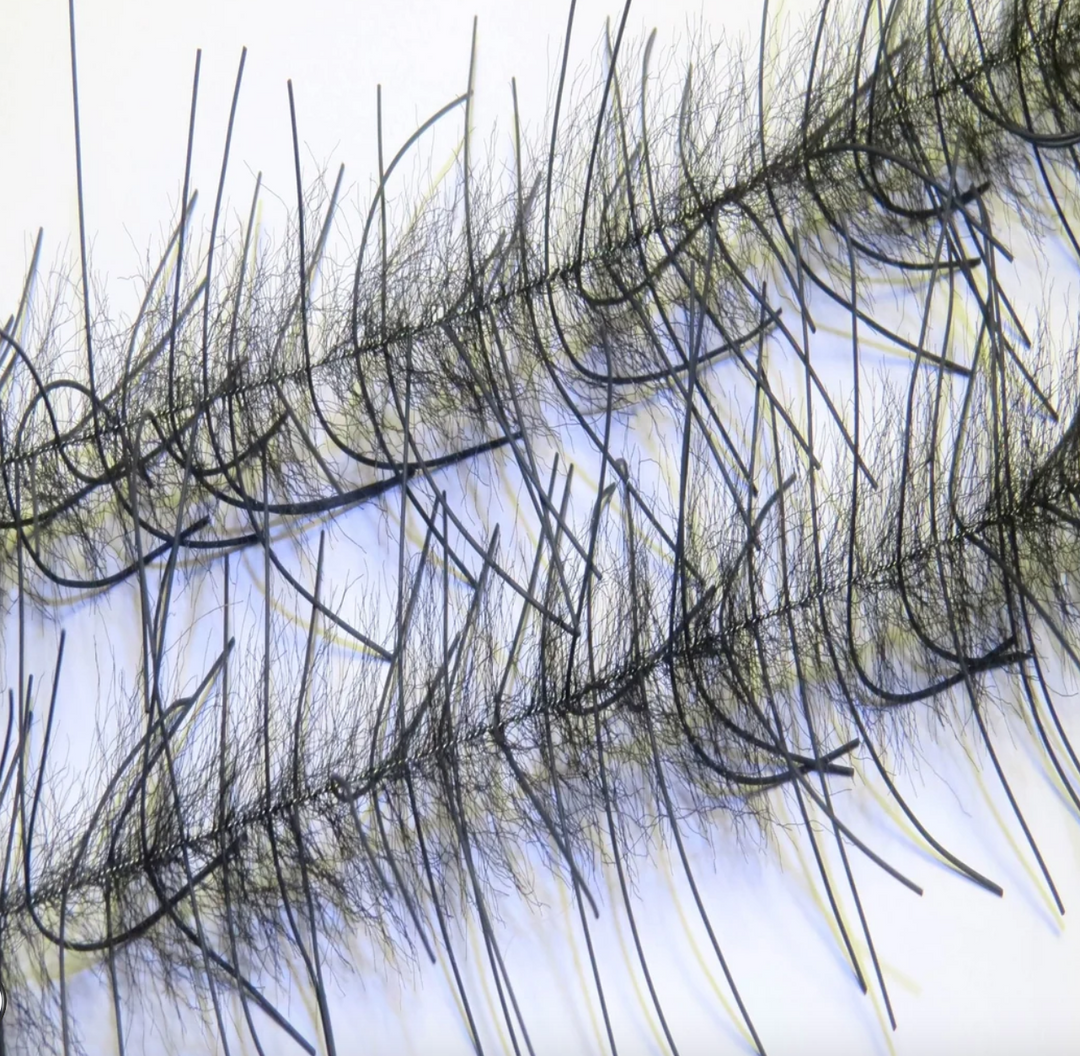 Lively Leg Crustacean Brush