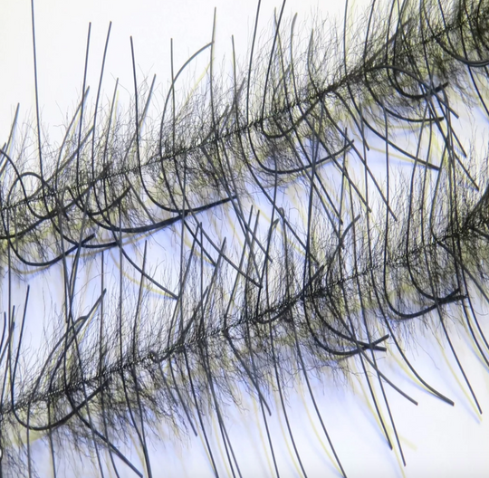Lively Leg Crustacean Brush