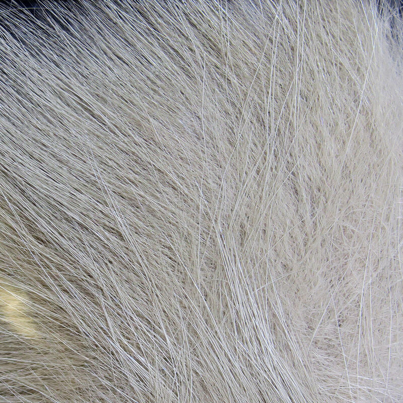 Hareline Arctic Fox