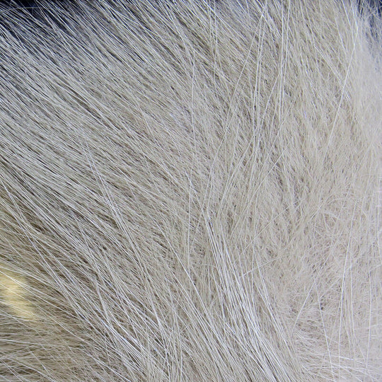 Hareline Arctic Fox