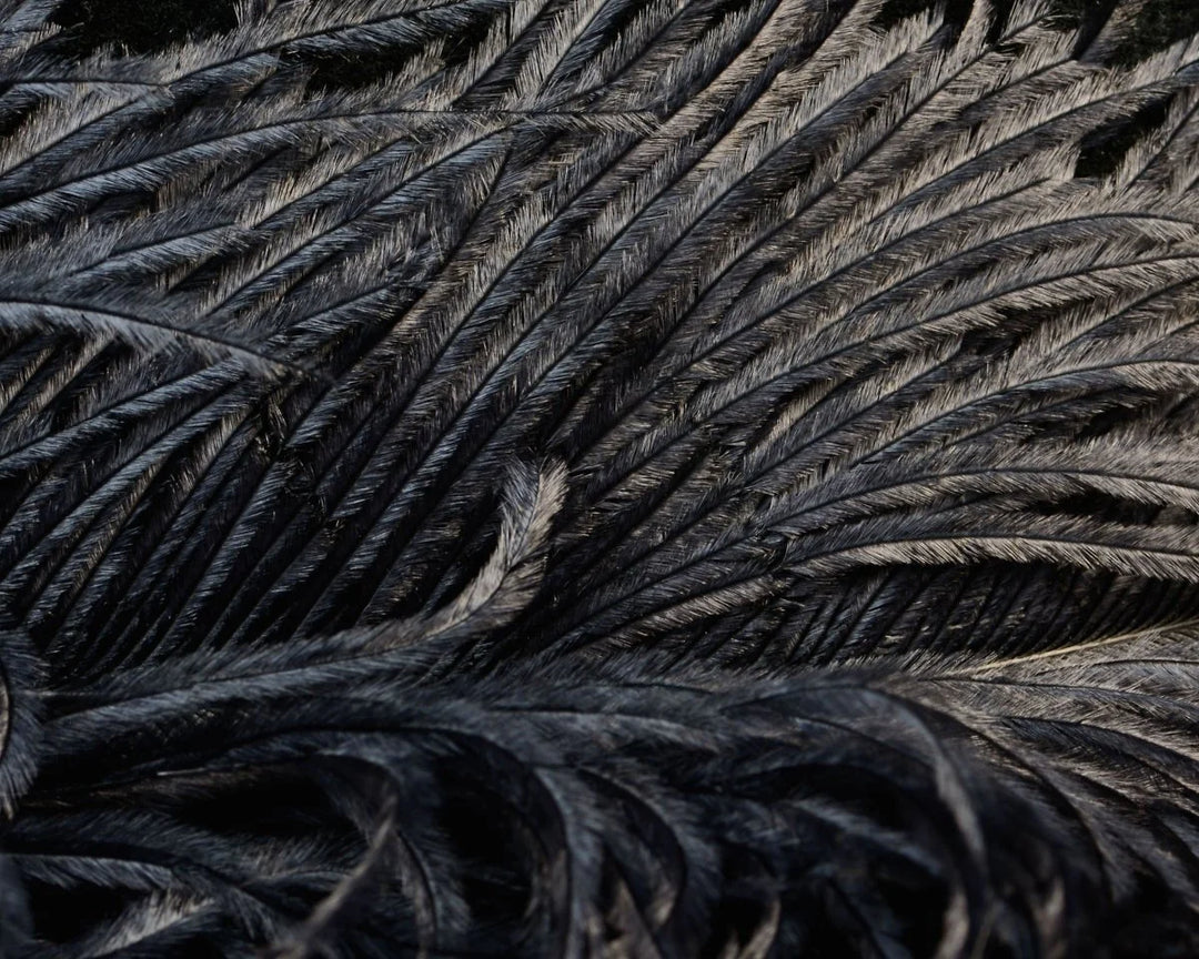 Natures Spirit Jumbo Ostrich Half Plume