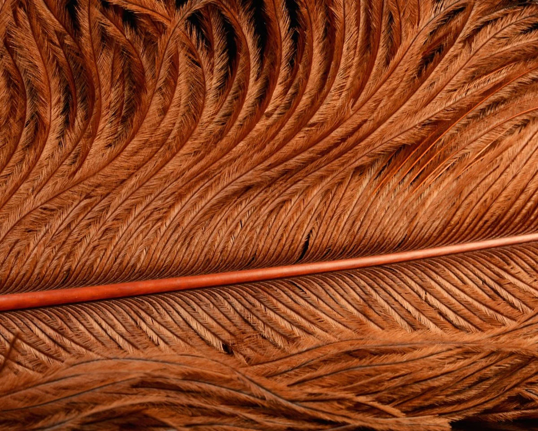 Natures Spirit Jumbo Ostrich Half Plume