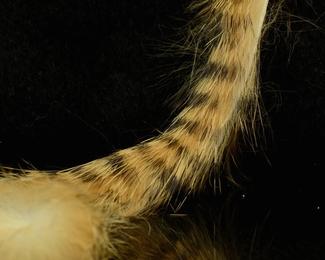 Hareline Barred Rabbit Strips
