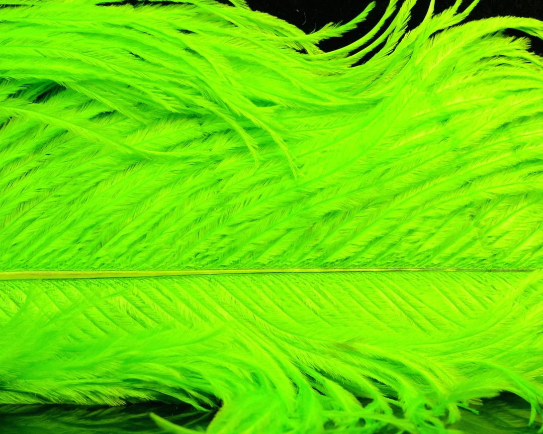 Natures Spirit Jumbo Ostrich Half Plume
