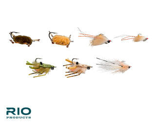 RIO Permit Assortment