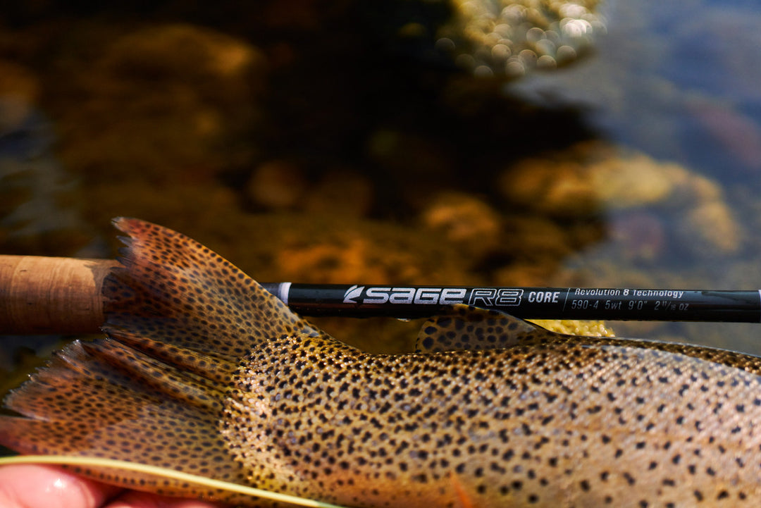 Sage R8 Core Fly Rod