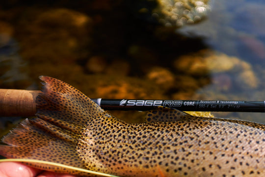 Sage R8 Core Fly Rod