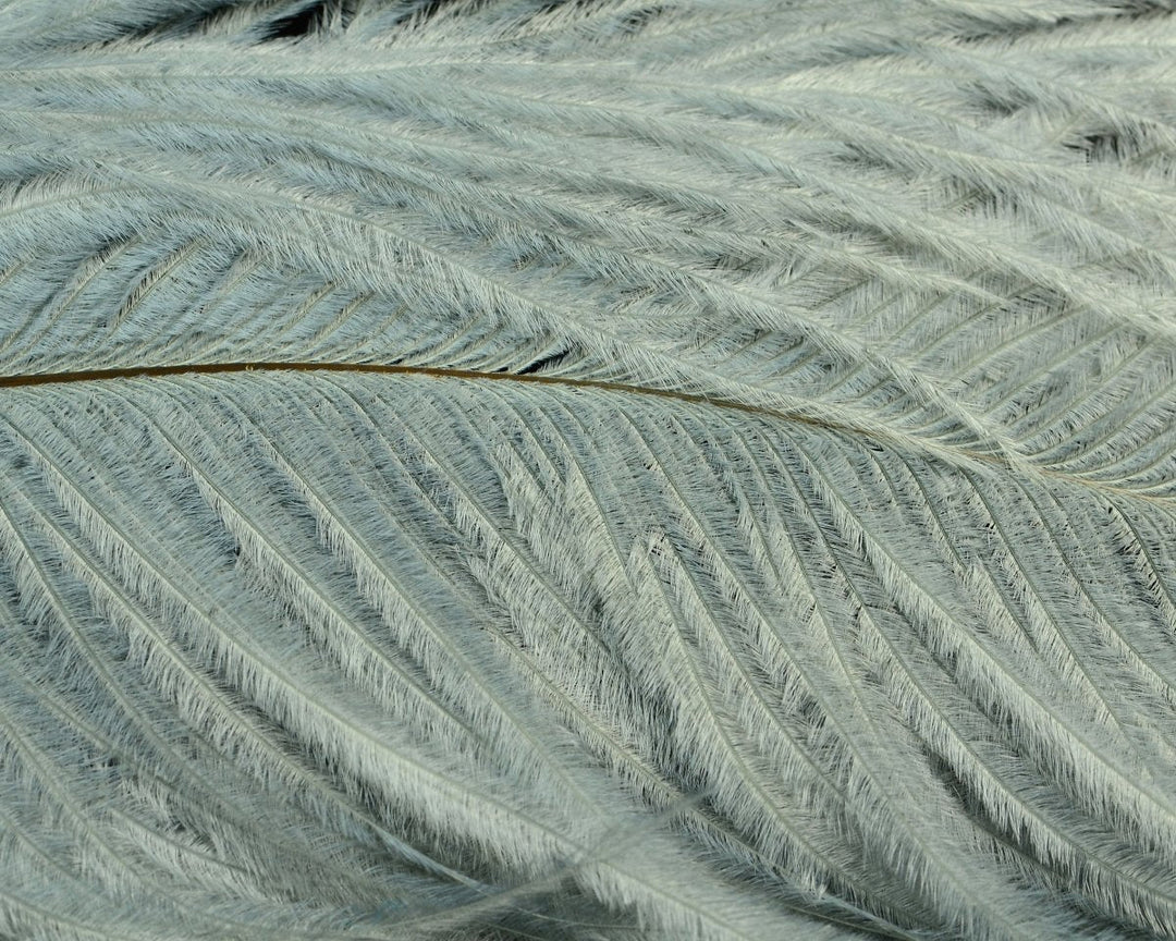 Natures Spirit Jumbo Ostrich Half Plume