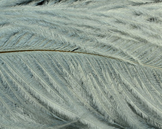 Natures Spirit Jumbo Ostrich Half Plume