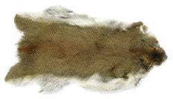 Wapsi Pine Squirrel Skin