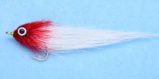 EP A2Z Minnow