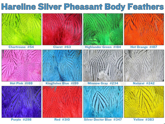 Silver Pheasant Body