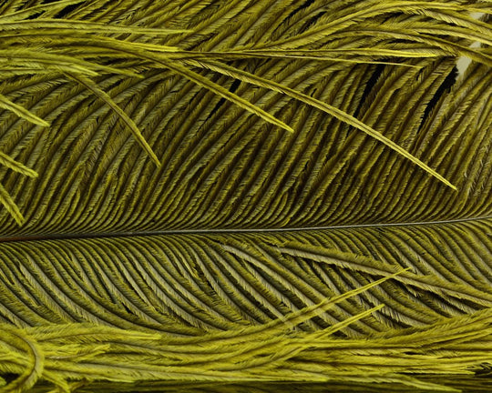 Natures Spirit Jumbo Ostrich Half Plume