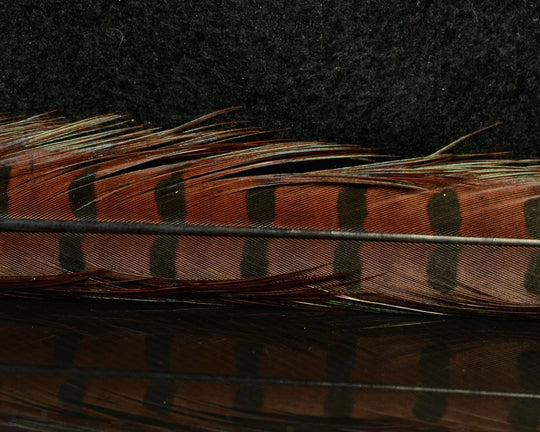 Nature's Spirit Ringneck Pheasant Center Tails