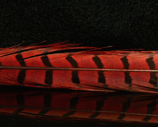 Nature's Spirit Ringneck Pheasant Center Tails