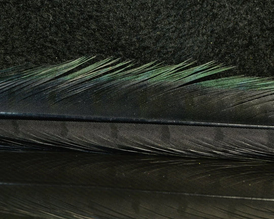Nature's Spirit Ringneck Pheasant Center Tails