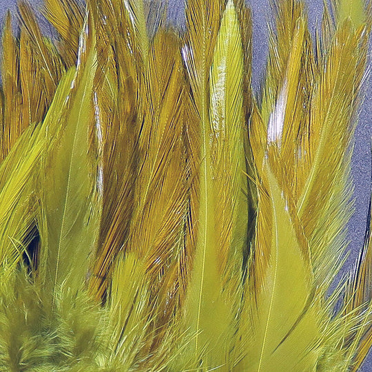 Hareline Strung Chinese Saddle Hackle 5-7"