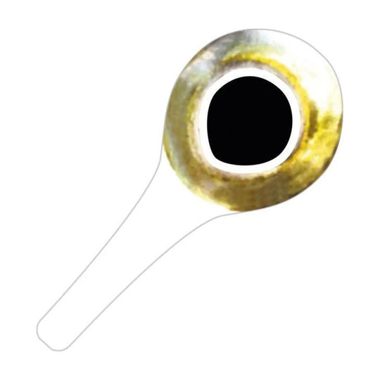 Pro Sportfisher Pro Tabbed Eyes