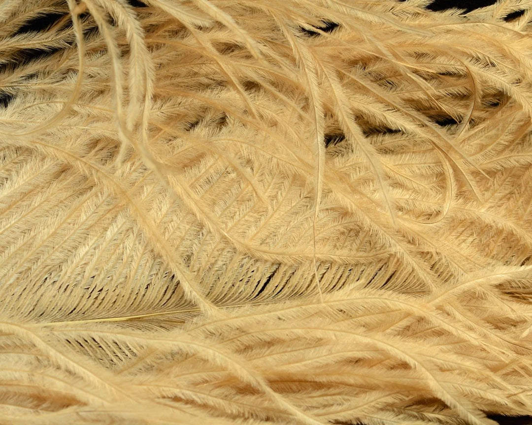 Natures Spirit Jumbo Ostrich Half Plume